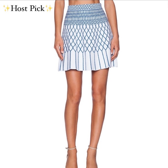 BCBGMaxAzria Dresses & Skirts - ☀️ BCBG Marleia Jacquard A-Line Skirt ☀️